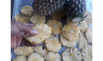 Máy sấy trái cây đa năng - sấy khóm