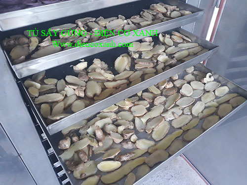 Máy sấy đa năng - sấy củ gừng