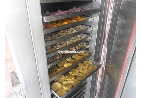 Tủ sấy trái cây đa năng 