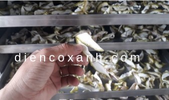 Vỏ bưởi sấy bằng tủ sấy vỏ bưởi