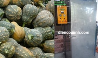 Cách chọn máy sấy trái cây phù hợp nhu cầu sử dụng của bạn