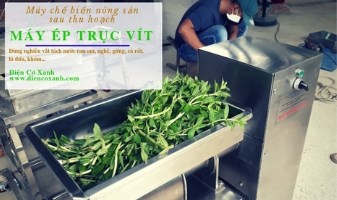 Công ty chế tạo máy Điện Cơ Xanh khai trương sau tết 2019 với nhiều dự án và chế tạo máy mới