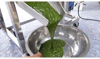 Máy vắt nước rau của quả cho người ăn chay 