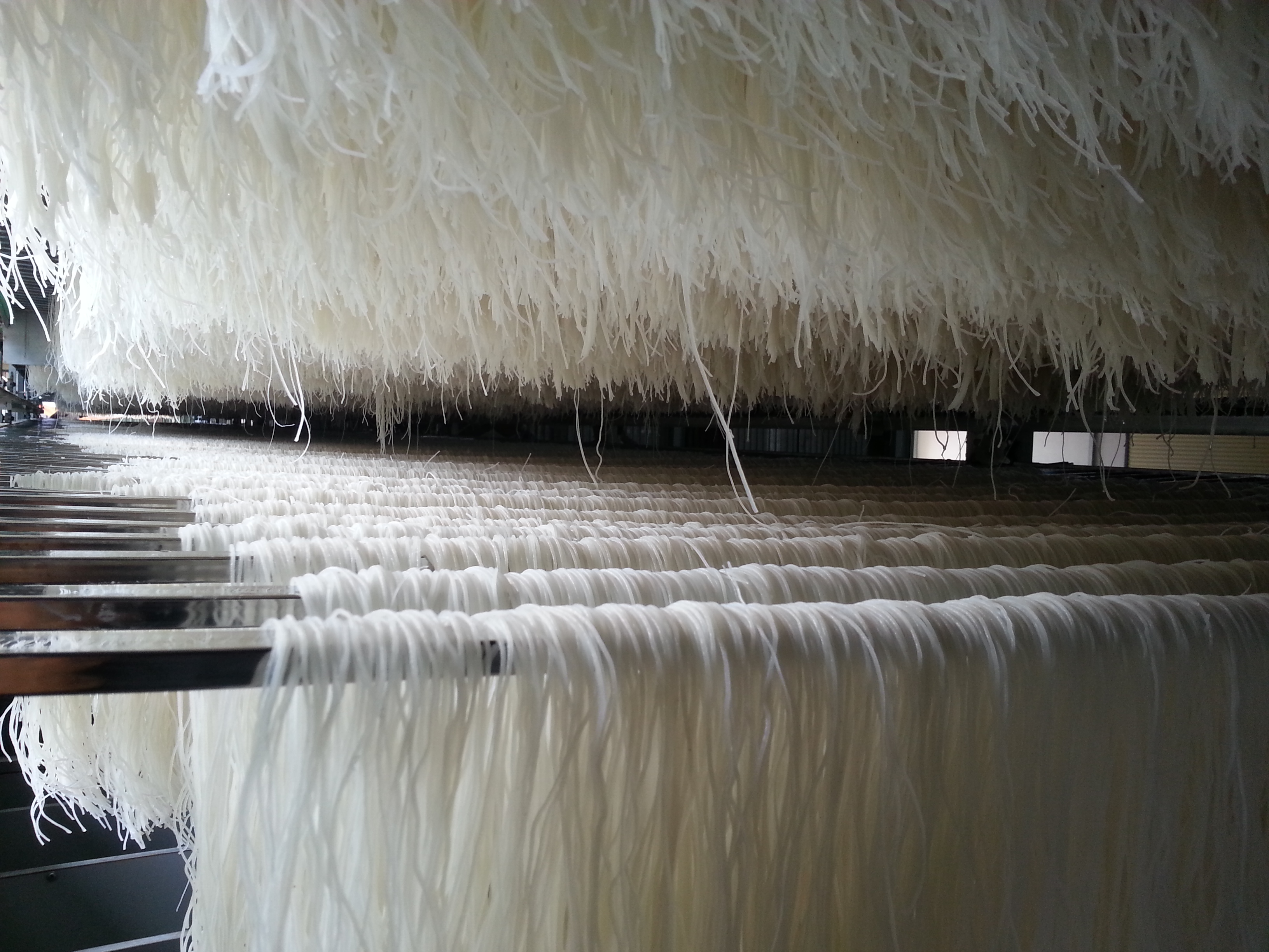 CUNG CẤP BÚN KHÔ - ĐIỆN CƠ XANH