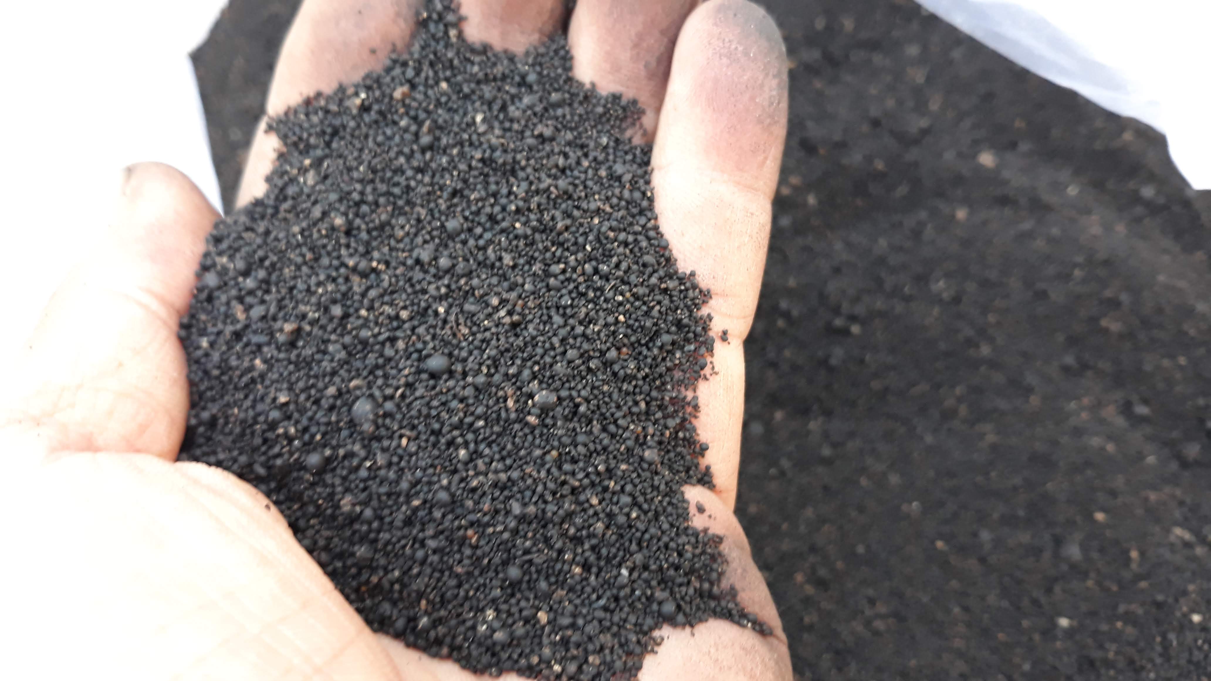 Máy vo viên phân hữu cơ - Điện Cơ Xanh