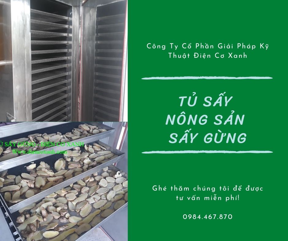 Tủ sấy gừng – Tủ sấy công nghiệp